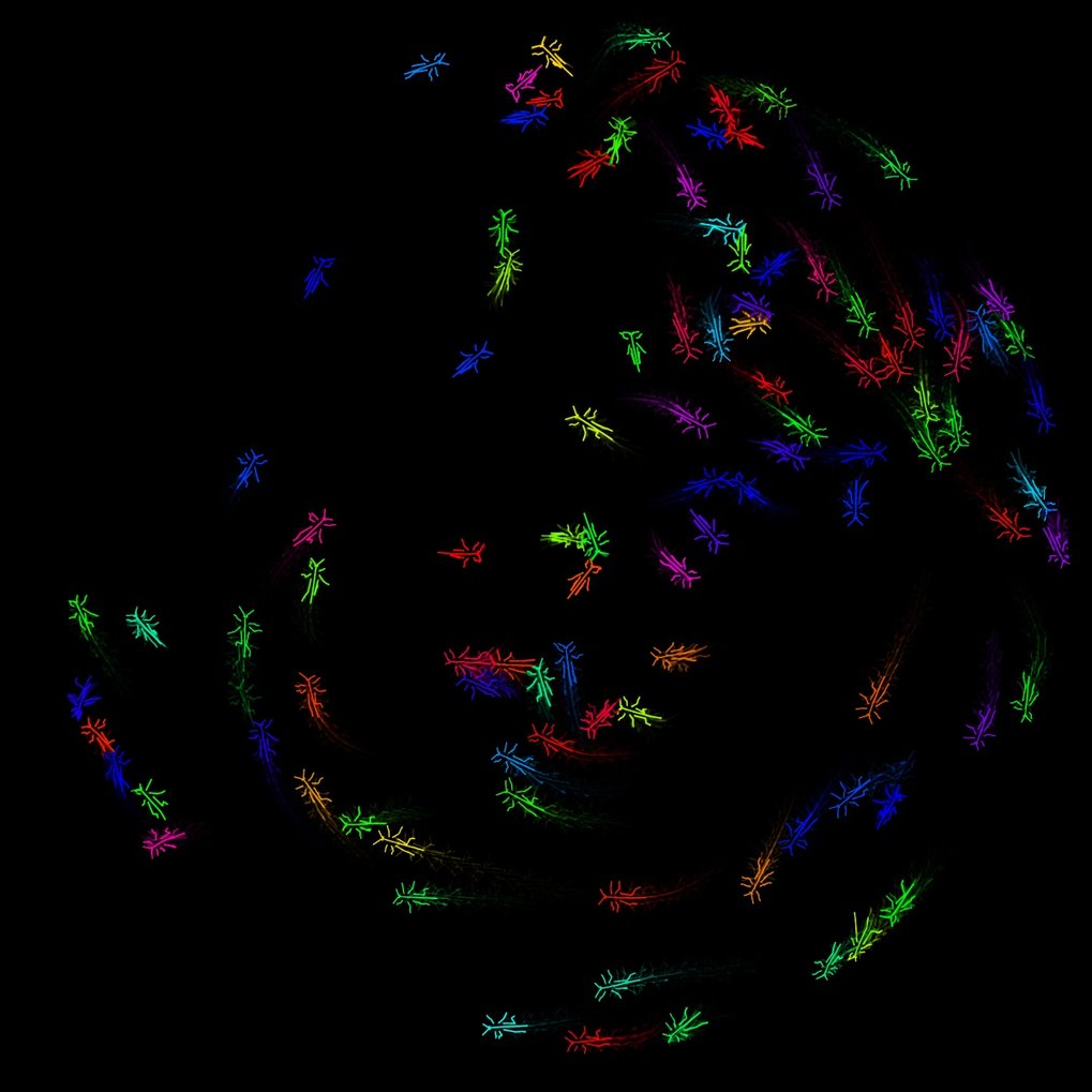 Using (or building) immersive Virtual Reality to understand&nbsp;individual and/or collective decision-making&nbsp;in insects and/or fish