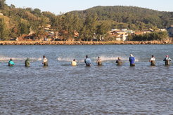 Fishers standing in the water and casting nets at the same time